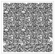 stainless steel shot